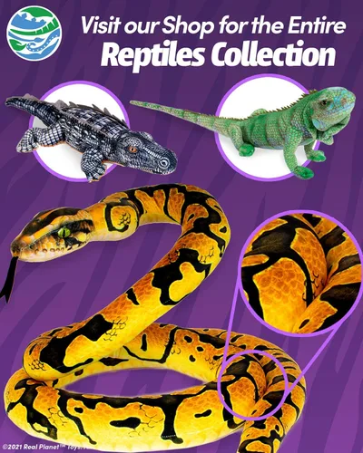 Miniatura 4 de Real Planet Peluche de Iguana de 30 pulgadas, lagarto realista de iguana verde para niños, más de 2 pies, animales salvajes de peluche, súper suave