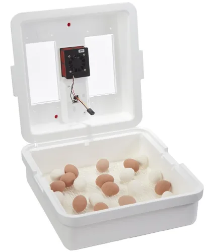 Miniatura 9 de [Modelo actualizado 2025] Incubadora digital Little Giant® de aire quieto Capacidad de 41 huevos Incubadora de huevos de pollo para incubación