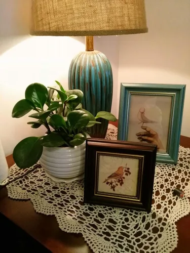 Miniatura 4 de Laivigo Manteles individuales de encaje de algodón hecho a mano, 19 pulgadas, color beige