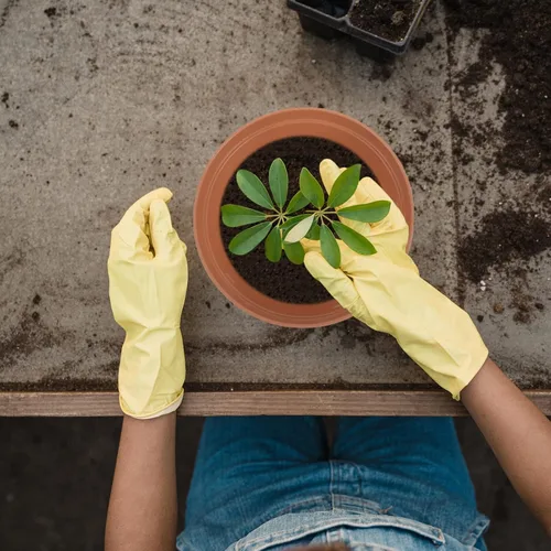 Miniatura 7 de Yardwe Maceta de plástico para orquídeas, maceta engrosada para drenaje de macetas para balcón, oficina, uso de material plástico