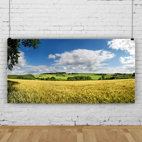 Miniatura 4 de YongFoto Telón de fondo de campo de granja de 8 x 4 pies, campo de trigo rural, prado verde, cosecha, primavera, verano, paisaje natural