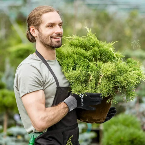 Miniatura 5 de COOLJOB Guantes de jardinería para hombres, 6 pares transpirables con revestimiento de goma para desmalezado de jardín, paisajismo, trabajo al aire