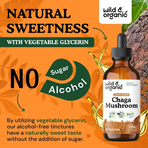 Miniatura 6 de Wild & Organic Suplemento de hongos Chaga – Apoyo inmunológico, digestivo y energético – Tintura de Chaga de rápida absorción – Añadir a gotas