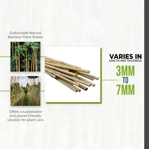 Miniatura 2 de Grow1 - Estacas de jardín de bambú de 4 pies, soporte para plantas, paquete de 500 unidades, 0.118 in - 0.276 in de grosor, palos de jardín
