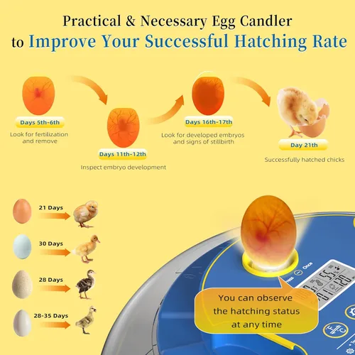 Miniatura 6 de 18 incubadoras de huevos de pollo para incubar huevos con giro automático de huevos y control de humedad, incubadora de aves de corral de alta tasa