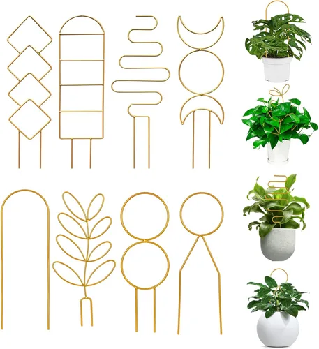8 paquetes de enrejado de alambre de metal dorado para plantas en maceta, plantas trepadoras, amantes de las plantas de interior, Hoya, Pothos,