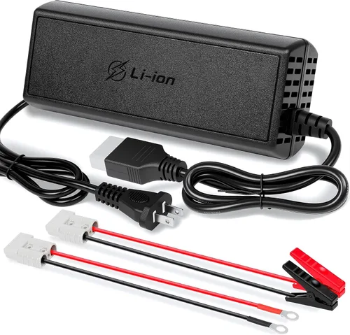 Miniatura 8 de Cargador de batería 36V10ALiFePO4