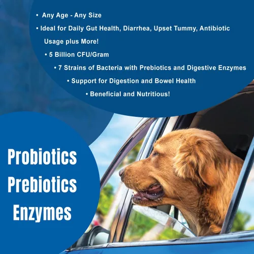 Miniatura 4 de DOGZYMES Potenciador digestivo en polvo soluble para perros (8 onzas)