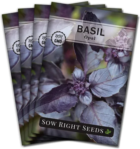 Miniatura 9 de Sow Right Seeds - Semillas de albahaca de ópalo para plantar - Paquete de reliquia sin OMG con instrucciones para plantar en interiores o exteriores