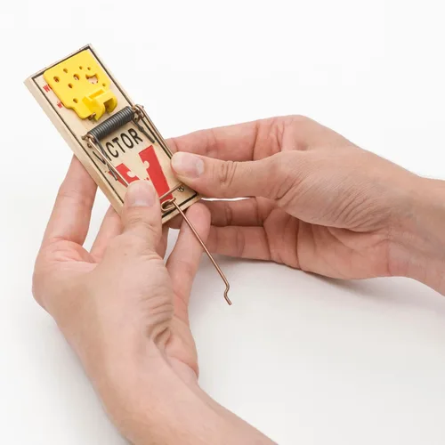 Miniatura 11 de VICTOR Trampa para ratones fácil de instalar, 2