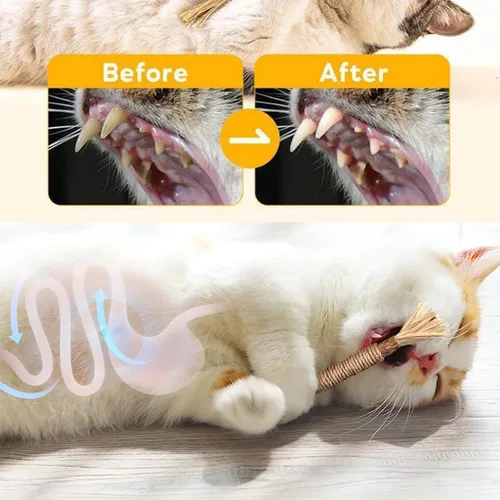 Miniatura 3 de Silvervine - Palitos dentales naturales Silvervine para gatos, resistentes a arañazos y mordeduras, juguete para gatos de interior y gatos adultos