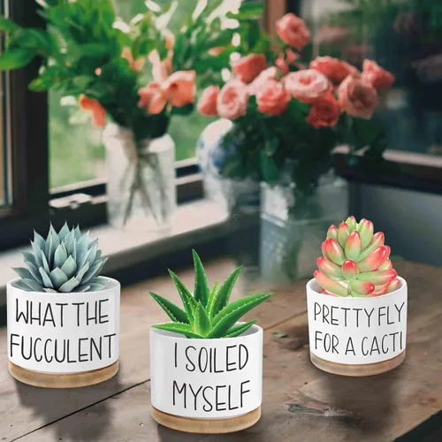 Miniatura 4 de Macetas para suculentas, macetas divertidas de cerámica de 3.15 pulgadas con etiquetas para plantas, macetas pequeñas con agujeros de drenaje