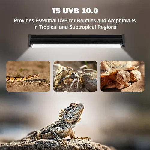 Miniatura 5 de Lámpara T5 10.0 UVB para reptiles, T5 UVA UVB Tubo de luz Blub 24W 22" para dragón barbudo, tortuga, lagartos del desierto, Gecko leopardo, lámpara