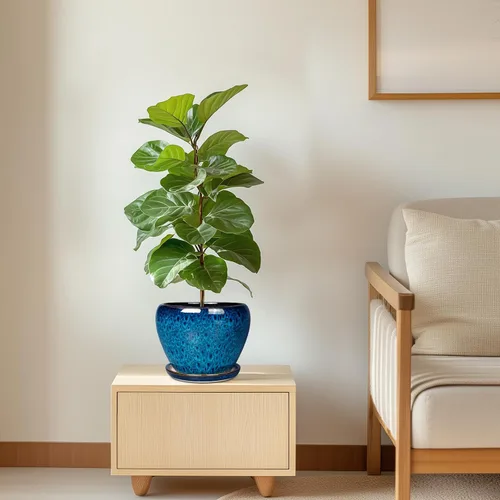 Miniatura 8 de Maceta de Cerámica Moderna con Esmalte para Suculentas con Agujero de Drenaje y Platillo, Maceta Redonda de 6 Pulgadas para Plantas de Flores