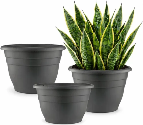 Miniatura 18 de RooTrimmer Juego de 10 macetas de 8 pulgadas con agujeros de drenaje y platillos, macetas para plantas de interior y exterior, macetas de orquídeas