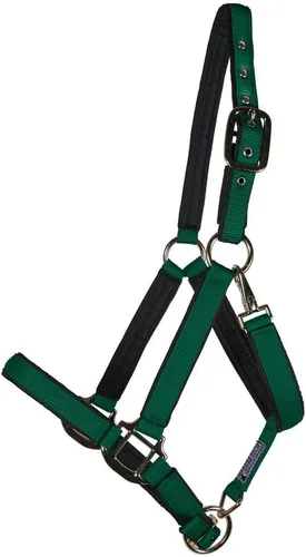 Dura-Tech Cabestro de caballo de nailon totalmente acolchado | Cabestro para caballo diseñado para evitar rozaduras | Corona y bordillo de caballo