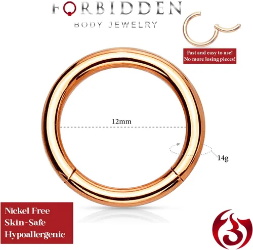 Miniatura 20 de Forbidden Body Jewelry - Piercing para la nariz de acero quirúrgico 316L con bisagra, 14G, 16G, 18G, diámetro de 15/64, 5/16, 25/64, 15/32 pulgadas