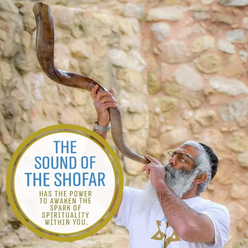 Miniatura 4 de Cuerno Kosher de Shofar de kudu de Holy Voice de Israel 91,4-99,1 cm – Tradicional Shofar de kudu yemenita mitad pulida, fácil de soplar, antiguo