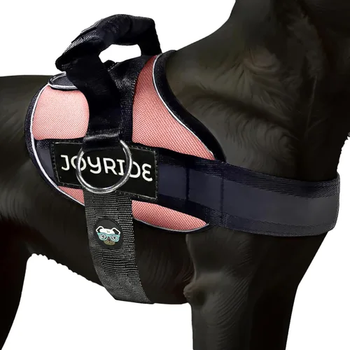 Joyride Harness 2.0 - El arnés original para perro con anilla lateral sin tirones - Sin estrangulamiento, a prueba de escapes, reflectante, 3 clips