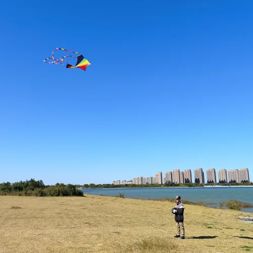 Miniatura 4 de Delta Kite para niños y adultos, fácil de volar, cometa de playa grande de una sola línea con mango de cuerda de 300 pies incluido, perfecta