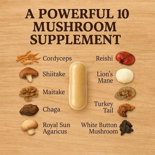 Miniatura 5 de Me First Living Suplemento complejo de hongos 10 en 1 con melena de león, cordyceps, cola de pavo, reishi y más. Suplementos cerebrales nootrópicos