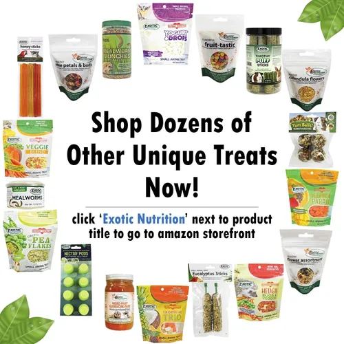 Miniatura 6 de Exotic Nutrition Herbivore Treats - Paquete de 6 golosinas saludables para animales pequeños – Ardillas, cobayas, conejos, chinchillas, perros