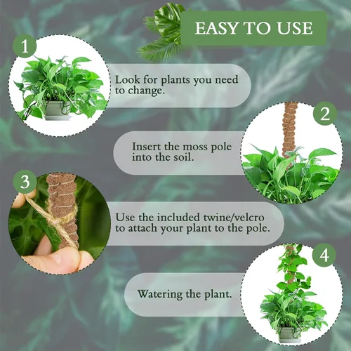 Miniatura 3 de Paquete de 2 postes de musgo de coco de 25 pulgadas para plantas trepadoras de interior, soporte de plantas hecho a mano para enredaderas