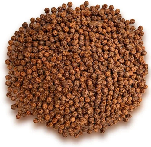 Miniatura 10 de Naisha Natural Rudraksh - 121 cuentas sueltas de Rudraksha Mala, cuentas de oración genuinas de meditación del Himalaya, cuentas Bodhi de 0.35-0.55