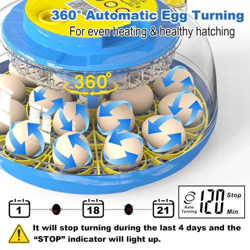 Miniatura 3 de Cieex - Incubadora de 18 huevos para incubar pollo, codornices, patos, loros, gansos con giro automático de huevos y control de humedad, incubadora