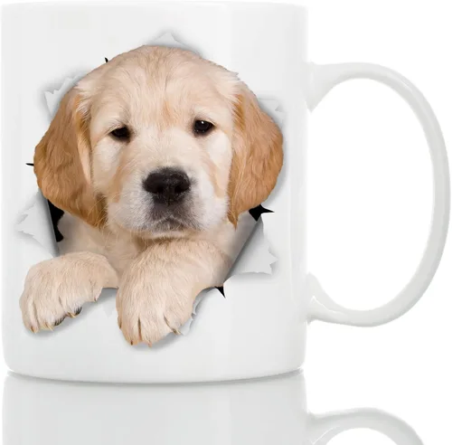 Golden Retriever - Taza de café divertida de cerámica, regalo perfecto para amantes de los perros, taza de café Golden Retriever, gran cumpleaños o