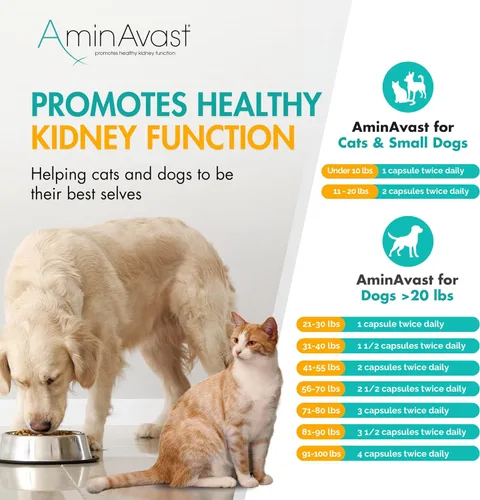 Miniatura 9 de AminAvast Apoyo renal para perros pequeños y gatos - Promueve el apoyo renal saludable en gatos y perros pequeños - 300 mg, 60 cápsulas