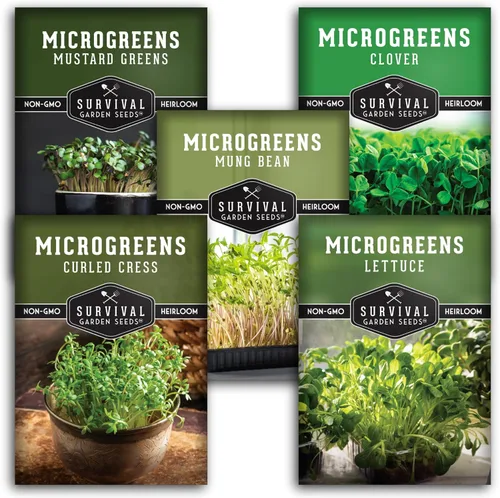 Microgreens Seeds - Paquete de 5 variedades para germinar – Mostaza, frijol mungo, berro rizado, trébol y semillas de lechuga para interiores –