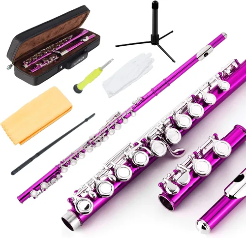 Miniatura 11 de EASTROCK Flautas de agujero cerrado C de 16 teclas para principiantes, niños, estudiantes, flauta de níquel plateado con soporte para estuche y kit
