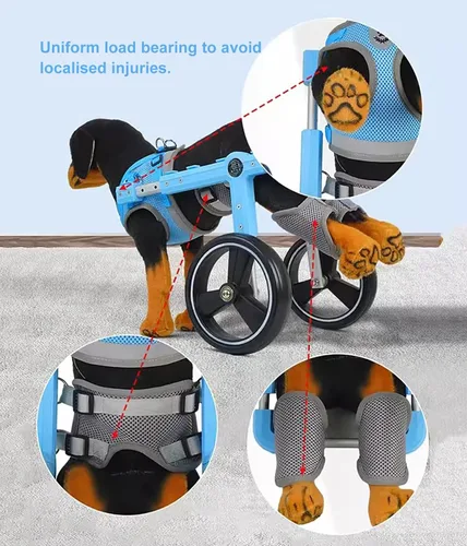 Miniatura 5 de Silla de ruedas para perro de 2 ruedas para pata trasera, carrito de ayuda para caminar para perros pequeños, medianos y grandes, ajustable