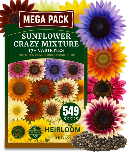 Semillas de girasol para plantar (17 variedades, mezcla loca), más de 549 semillas de girasol sin OMG de alta calidad de Estados Unidos para plantar
