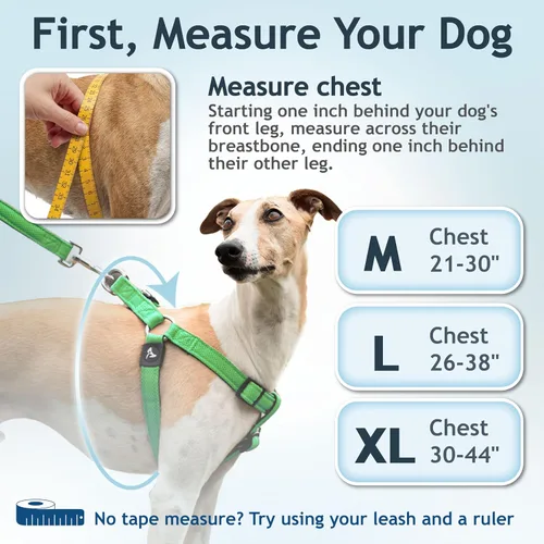 Miniatura 3 de Kruz - Arnés para perro sin tirones (pecho 21-30 pulgadas, peso de 22-53 libras), arnés resistente para razas medianas, ajuste ultra cómodo, Verde