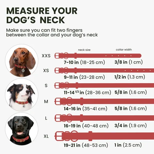 Miniatura 2 de Collar de cuero enrollado, redondo, suave y ajustable con placa de identificación por QR para perro pequeño, mediano y grande, cachorro y gato Rosa