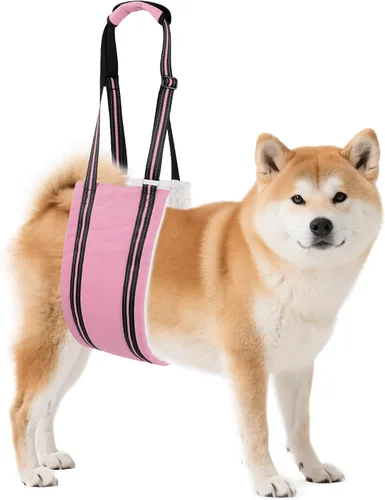 Miniatura 10 de AIITLE Eslingas mejoradas para perros pequeños – Arnés de soporte para patas traseras y cadera, ayuda de elevación de rehabilitación súper suave