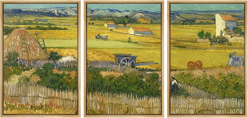 Miniatura 19 de Lienzo decorativo para pared - cuadro con estampado Giclée para decoración del hogar Noche estrellada sobre el Ródano