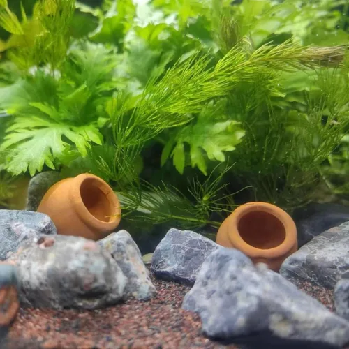 Miniatura 6 de Mini macetas de terracota – Macetas pequeñas de arcilla para suculentas, cactus, manualidades de bricolaje, jardín de hadas, proyectos escolares