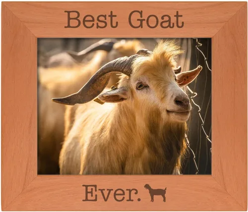 Miniatura 8 de ThisWear Goat Lover Gifts Best Goat Ever - Marco de fotos de madera natural grabado de 4 x 6 pulgadas