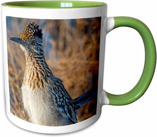Miniatura 10 de 3dRose Roadrunner bird, Bosque del apache NWR, New Mexico-US32 CHA0044-Chuck Haney - Taza de dos tonos, 11 onzas, negro/blanco