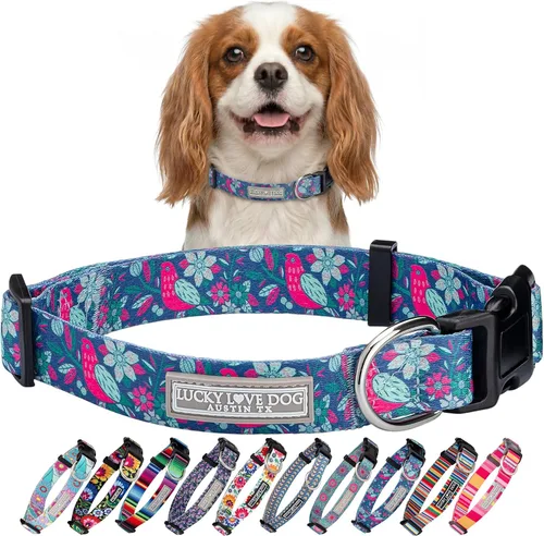 Miniatura 23 de Lucky Love Dog - Collar para perras pequeñas, diseño Blackbird de estampado alegre con flores de primavera y verano, talla XS