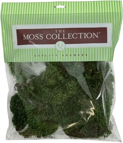 Miniatura 13 de Musgo de hoja preservado - Musgo decorativo natural - Musgo seco para manualidades, decoración del hogar, proyectos de arte, diseño y bricolaje - No
