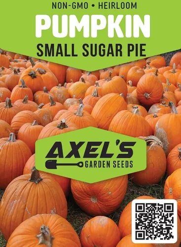 Miniatura 2 de Semillas pequeñas de calabaza de azúcar para plantar, paquete de reliquia sin OMG con instrucciones para plantar un huerto casero, gran regalo