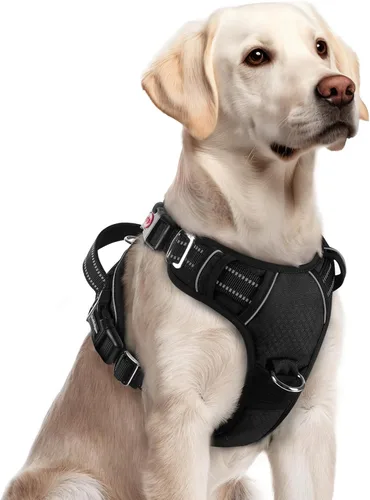 Miniatura 59 de rabbitgoo Arnés para perro de tamaño pequeño, chaleco para perro sin tirones con 3 hebillas, arnés ajustable y acolchado suave para mascotas con asa
