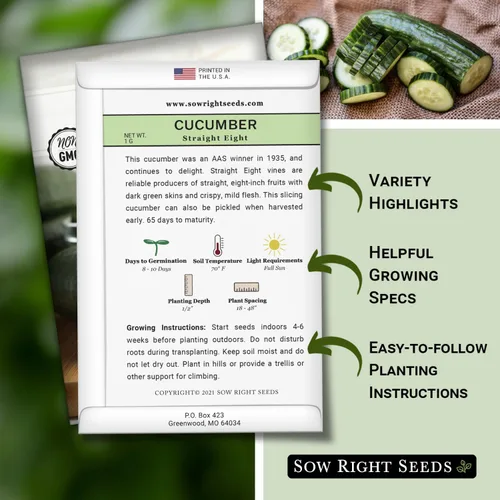 Miniatura 2 de Sow Right Seeds - Ocho semillas de pepino rectas para plantar - Paquete de reliquia sin OMG con instrucciones para plantar y cultivar un huerto