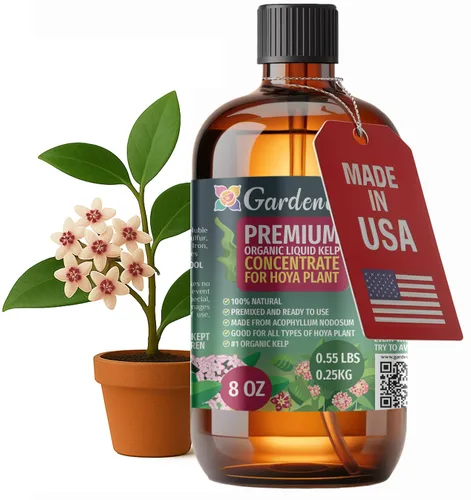 Miniatura 52 de GARDENERA Superalimento orgánico prémium de algas marinas y algas marinas para plantas AGLAONEMA, 8 onzas, concentrado de fertilizante líquido