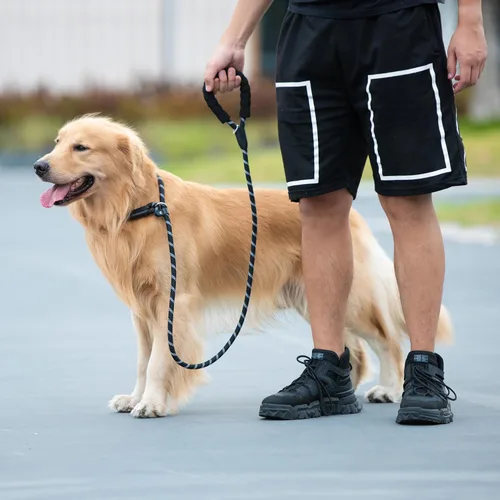Miniatura 6 de iYoShop Correa Deslizante Duradera para Perro con Mango Acolchado e Hilos Altamente Reflectantes, Correa de Entrenamiento para Perros Sin Tirones