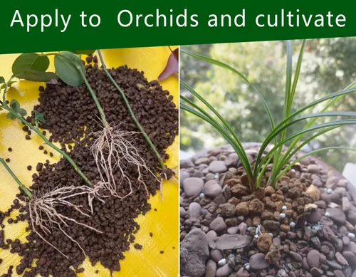 Miniatura 7 de Horticultural Akadama Soil - Aditivo de suelo suculento de cactus bonsái para plantas, paisajismo, rellenos de jarrones